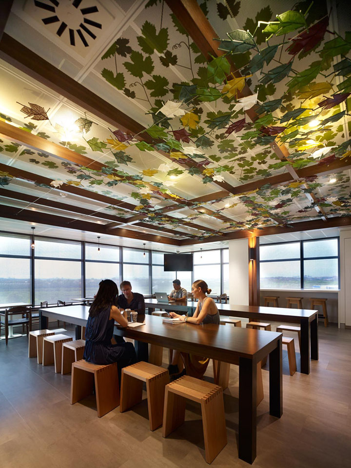上海写字楼装潢- 花园式的澳大利亚Lion公司办公设计